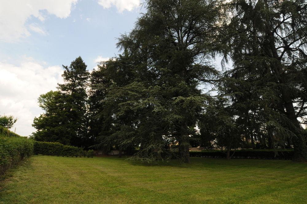 Villa Torricelli By Il Giardinetto Scarperia Eksteriør bilde